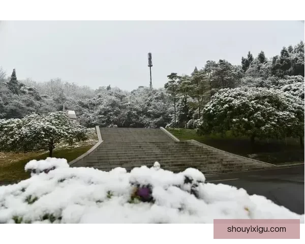 揭秘爱情海角，一次浪漫的邂逅，一段永恒的约定